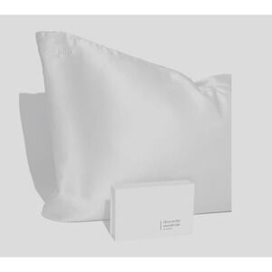 Qure Sleep 100% Mulberry Silk Pillowcase Silver 20x30 Sleep On Smooth Side Hair